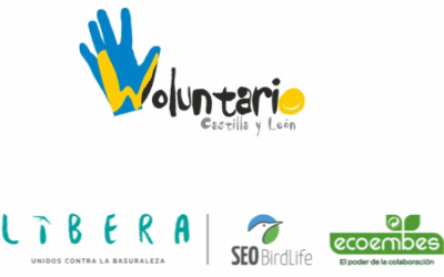 Voluntariado en las “Arcas Reales” (Proyecto Libera)